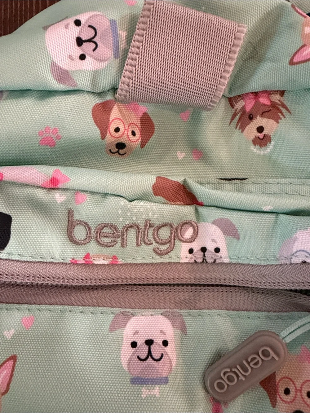 Bento Mint Green Kids Backpack with Puppy Print